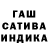 Конопля сатива cirenok
