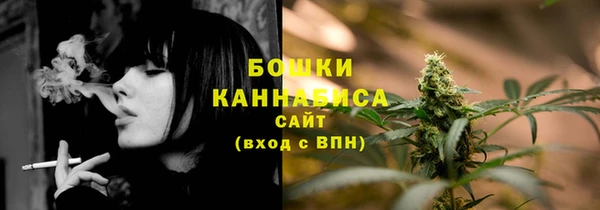 бошки Алексин