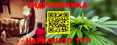 МДПВ Гусев