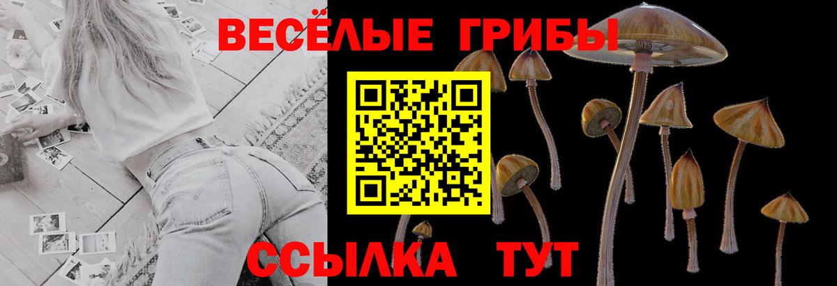 Псилоцибиновые грибы GOLDEN TEACHER Мыски